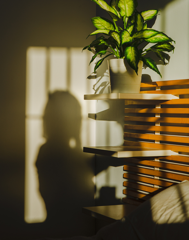 woman-plant-image